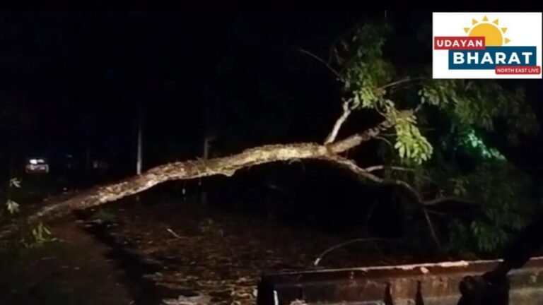 আমগুৰি-নাজিৰা বিভিন্ন অঞ্চলত প্ৰকৃতিৰ তাণ্ডৱ