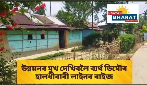 উন্নয়নৰ মুখ দেখিবলৈ ব্যৰ্থ ডিমৌৰ হালধীবাৰী লাইনৰ ৰাইজ
