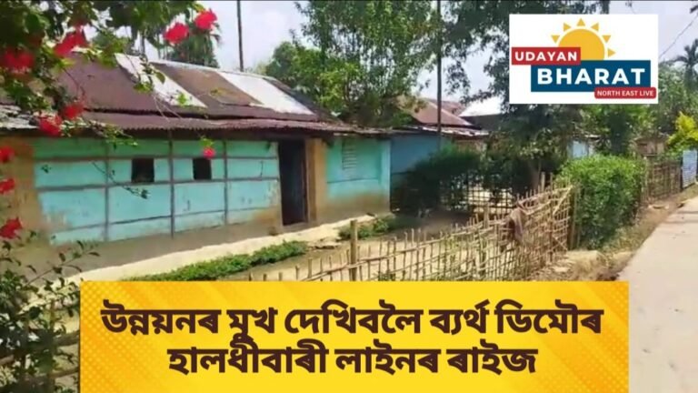 উন্নয়নৰ মুখ দেখিবলৈ ব্যৰ্থ ডিমৌৰ হালধীবাৰী লাইনৰ ৰাইজ