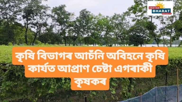 কৃষি বিভাগৰ আচঁনি অবিহনে কৃষি কাৰ্যত আপ্ৰাণ চেষ্টা এগৰাকী কৃষকৰ