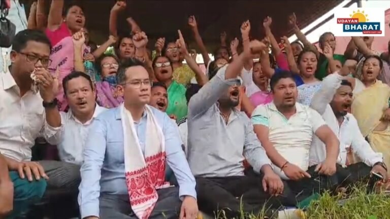এ পি চি চিৰ সভাপতি গৌৰৱ গগৈৰ নেতৃত্বত কংগ্ৰেছৰ সঁজাতী দল